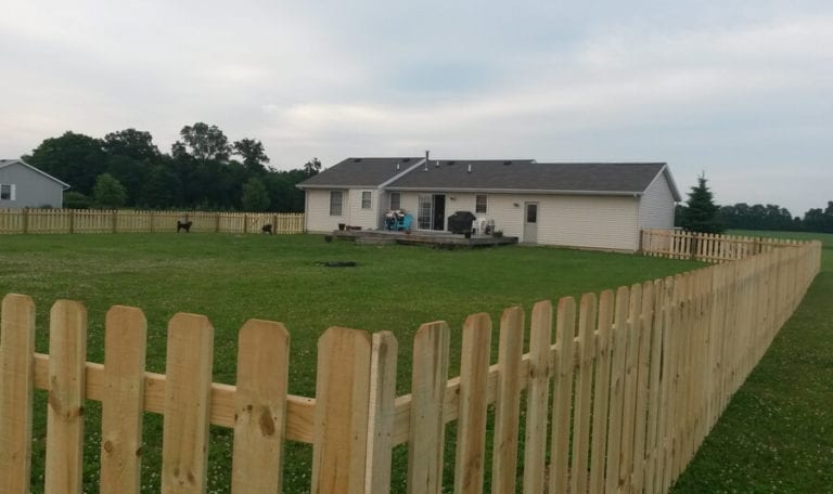 My Backyard