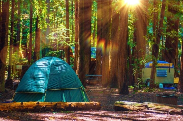 Tent in the Woods