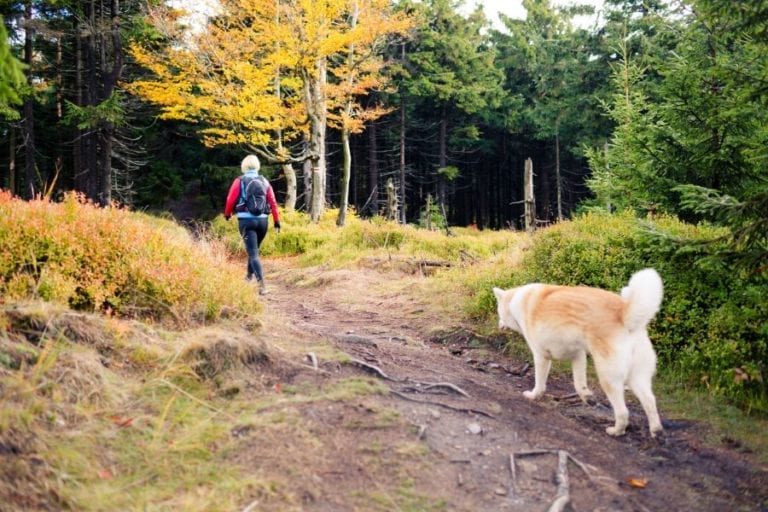 Hiking with Dog