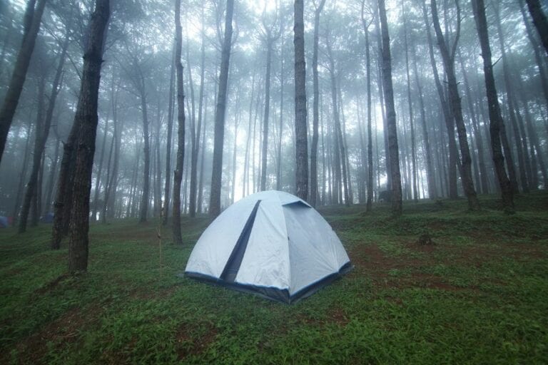 Wet Tent