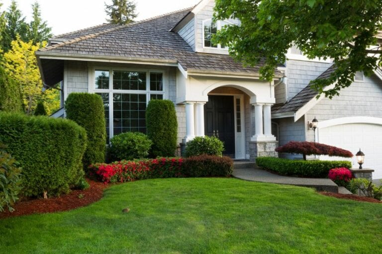Shrubs in front of House