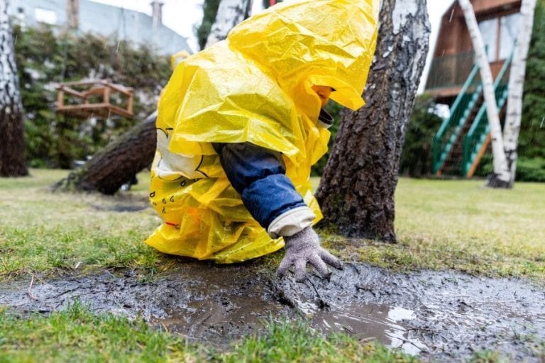 Muddy Yard