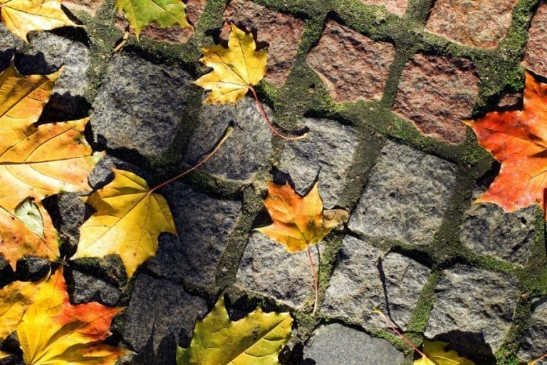 5 Effective Ways to Keep Leaves Off of Your Patio My Backyard Life