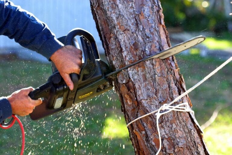 Electric Chainsaw