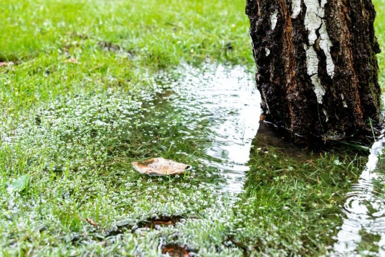 7 Effective Ways to Stop Water From Pooling in Your Yard My Backyard Life