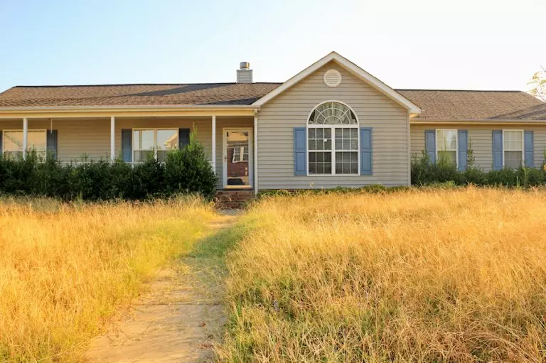 House with overgrown lawn / tall grass