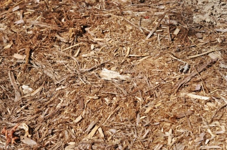 Mulch
