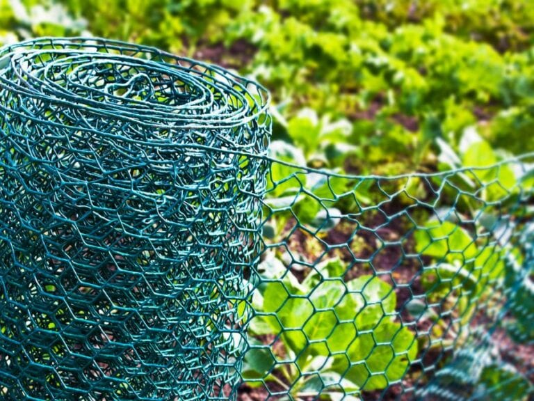 Temporary Fencing