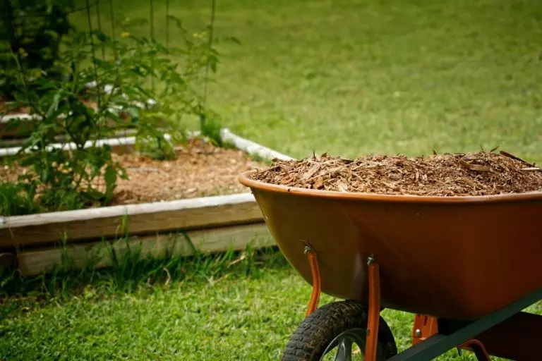 Leftover Mulch