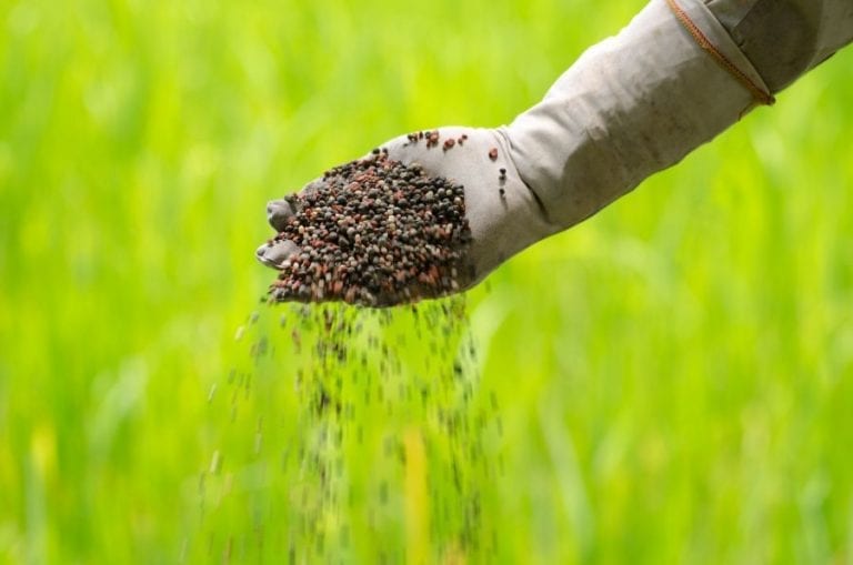 Fertilizer