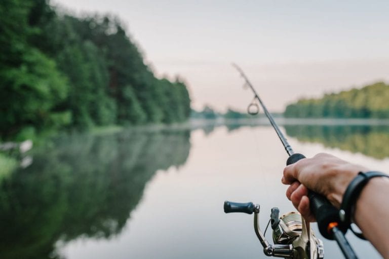 Fishing Rod