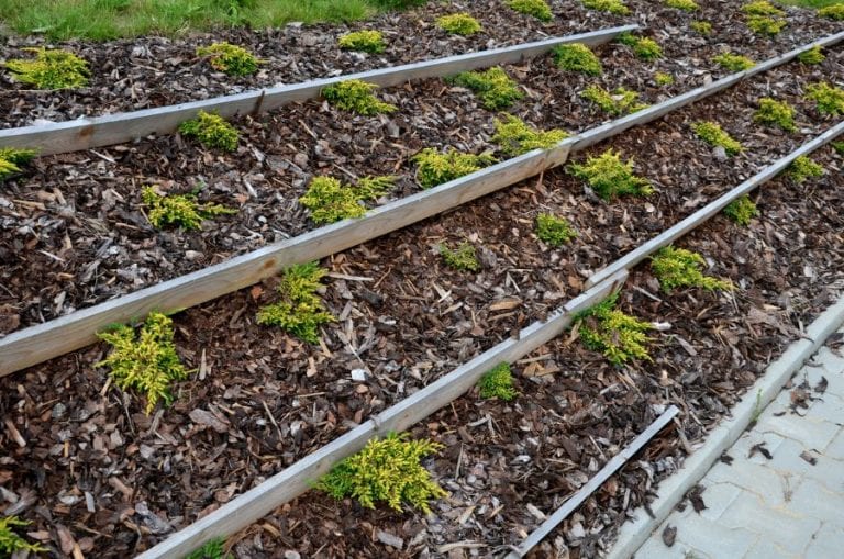 Mulch on Slope