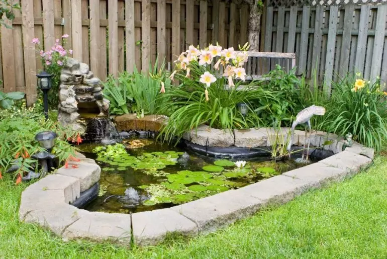 4 Smart Things to Do with an Unwanted Pond Backyard Pond