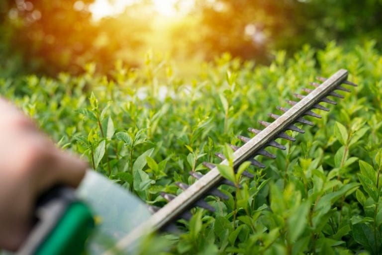 Hedge Trimmer