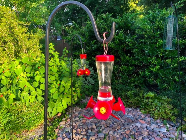 Hummingbird Feeders