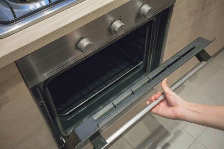 3 Ways to Grill in Your Oven (When You Can’t Grill Outside) - My ...