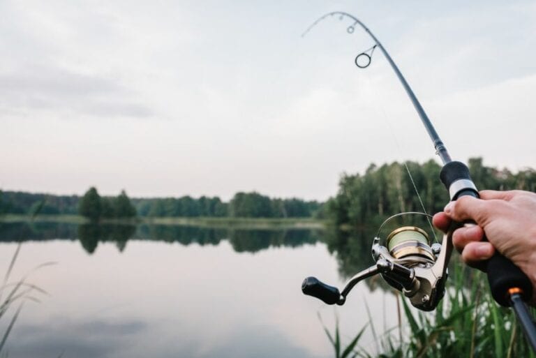 Fishing