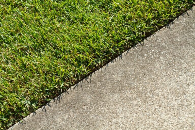 Lawn Edge