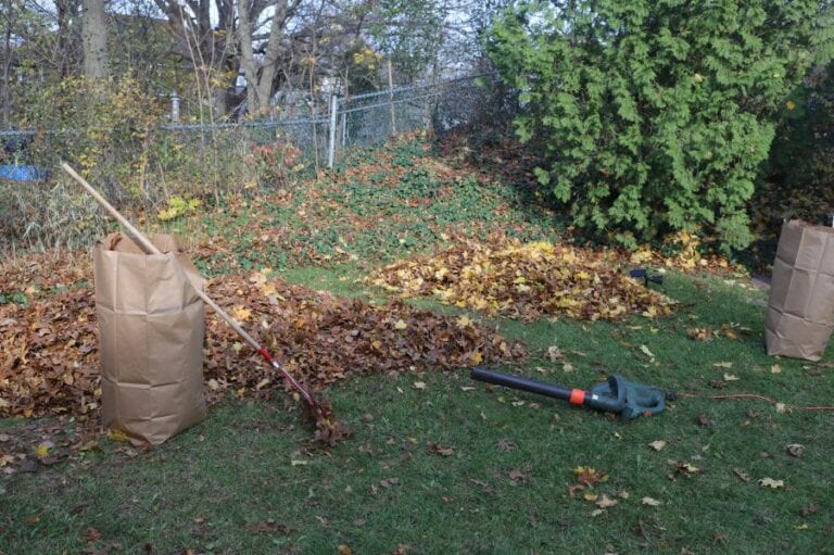Leaf Blower and Rake