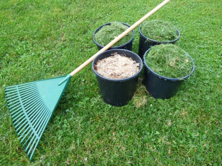 Raking Grass Clippings