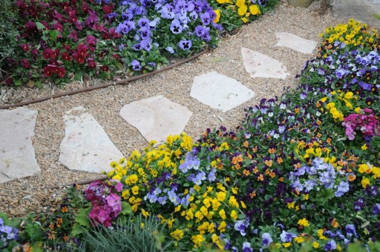 Botanical Garden Walkway With Pea Gravel