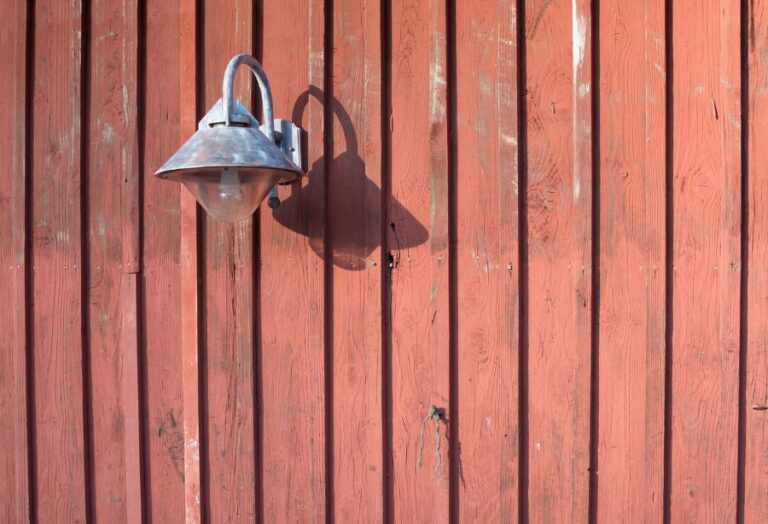 6 Smart Ways to Get Rid of Bats in Your Barn My Backyard Life