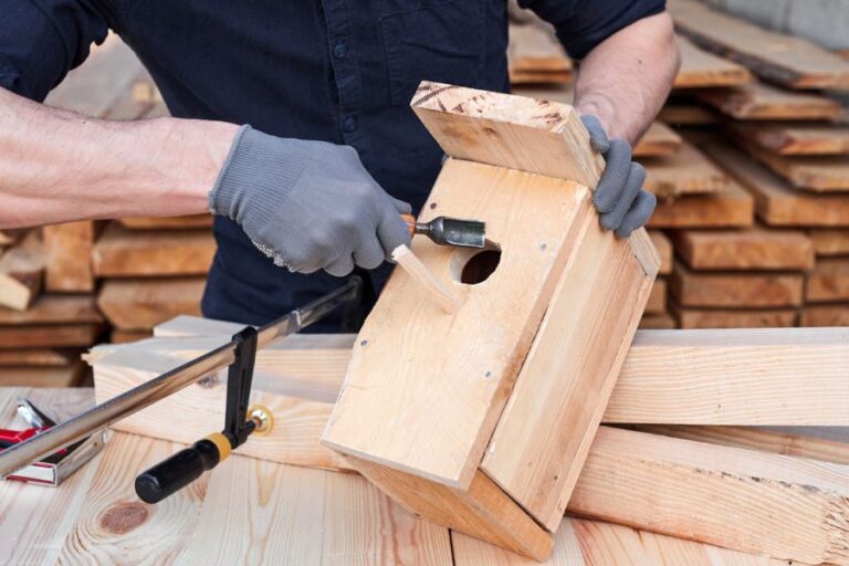 Can You Use PressureTreated Wood for Bird Houses? My Backyard Life
