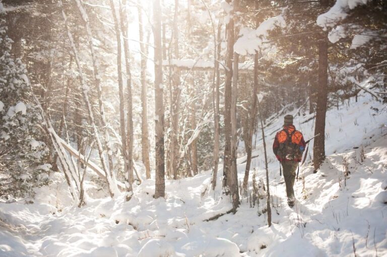Hunter in the Woods