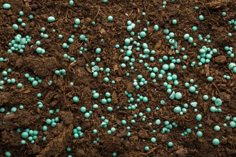 Green Complex Fertilizer Granules on Dark Brown Soil