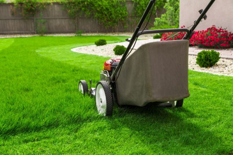 Lawn Mower on Manicured Lawn