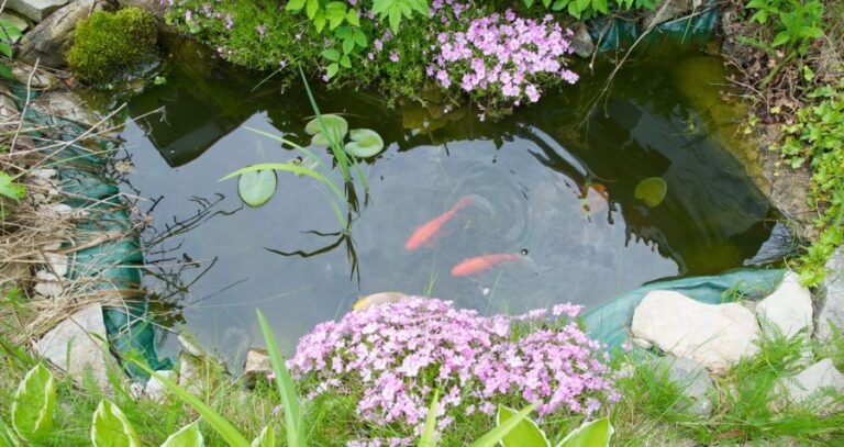Backyard Pond Surrounded by Perennials in the Spring