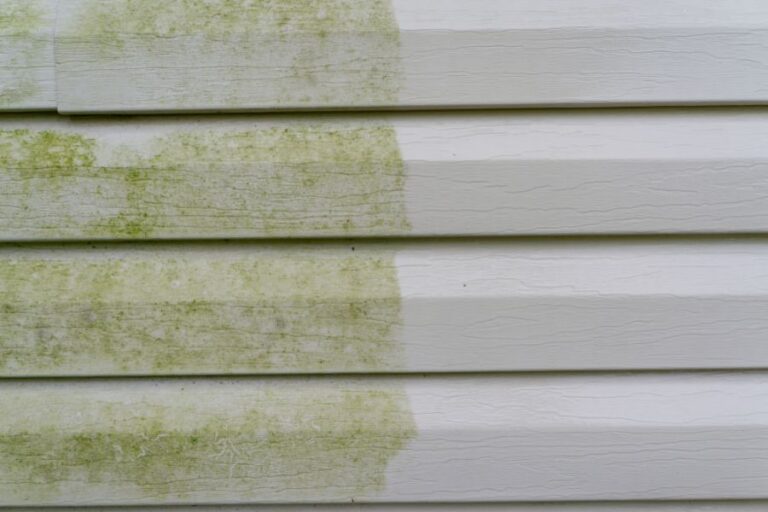 Before and After of Vinyl Siding Cleaning