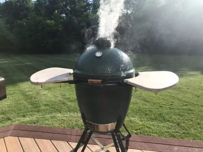 Big Green Egg in Backyard