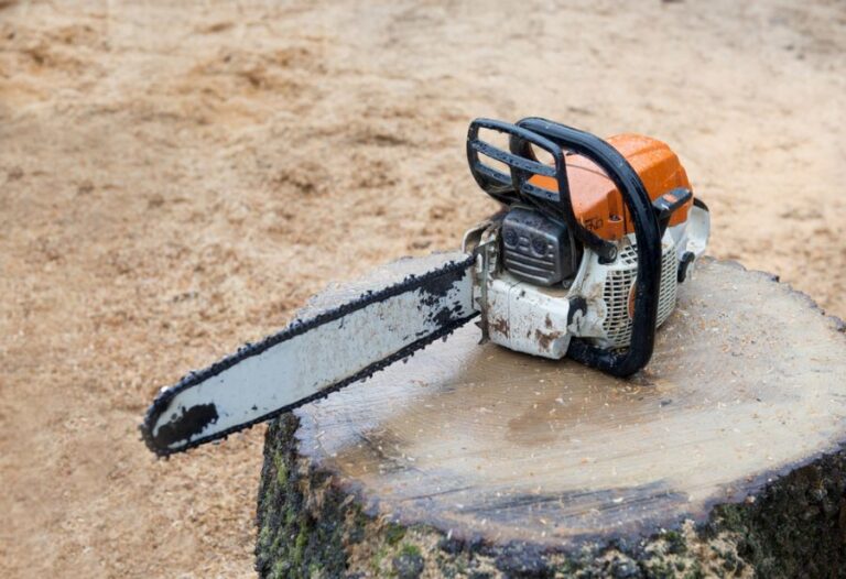 Chainsaw Sitting on a Wet Stump