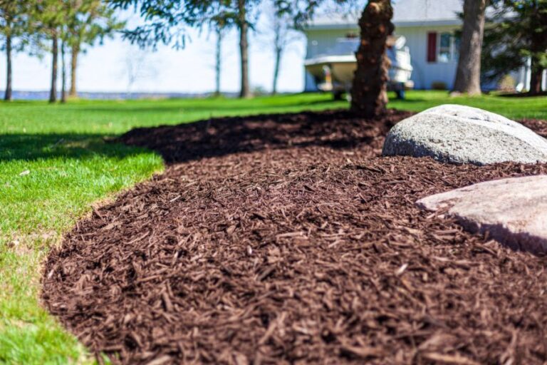 Landscaping With Rocks, Trees, and Mulch