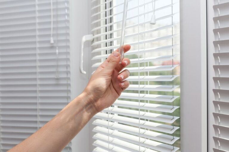 How to Stop Cardinals From Attacking Your Windows - My Backyard Life