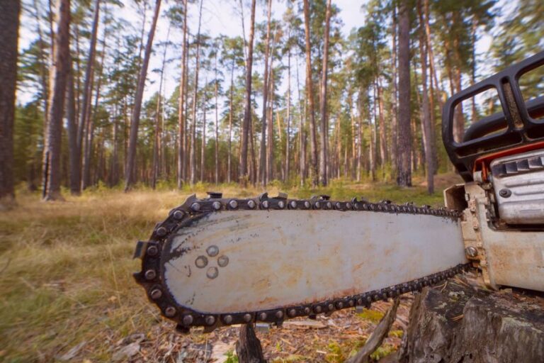 Chainsaw Sitting on Top of a Stump in a Forest