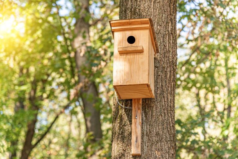 Wooden Birdhouse on a Tree in the Park