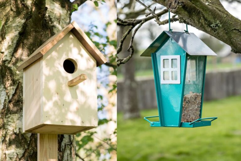 Birdhouse vs Bird Feeder