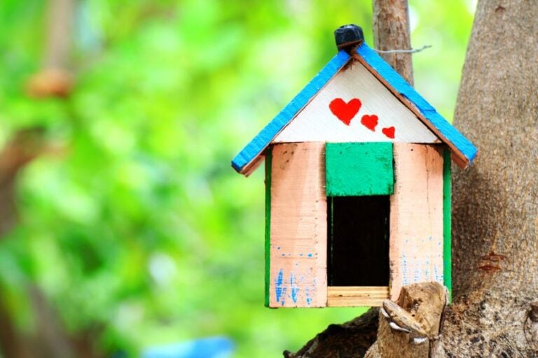 Painted Birdhouse Hung in a Tree