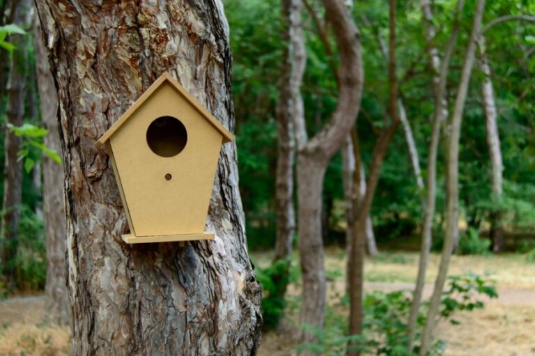 Small Wooden Birdhouse Hanging From a Tree in the Park
