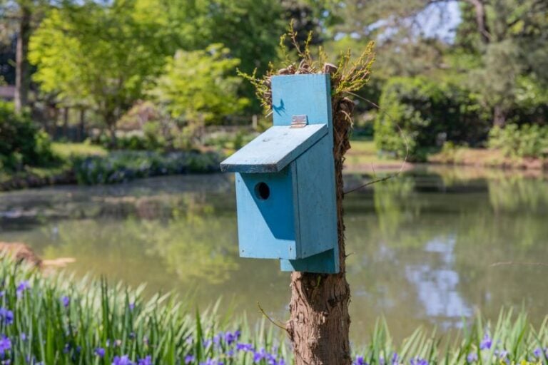 Blue Painted Birdhouse Mounted to a Post Beside a Pond