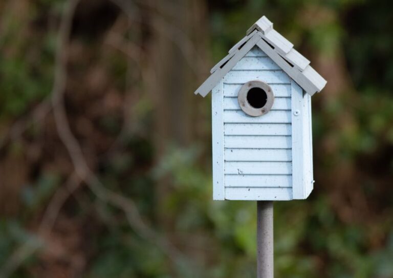 Light Blue Birdhouse Mounted to a Pole