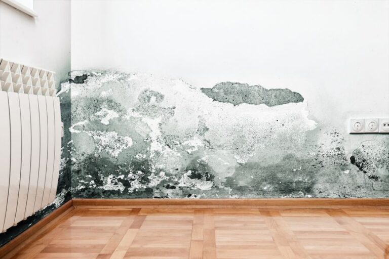 Mold and Moisture Buildup on the Wall