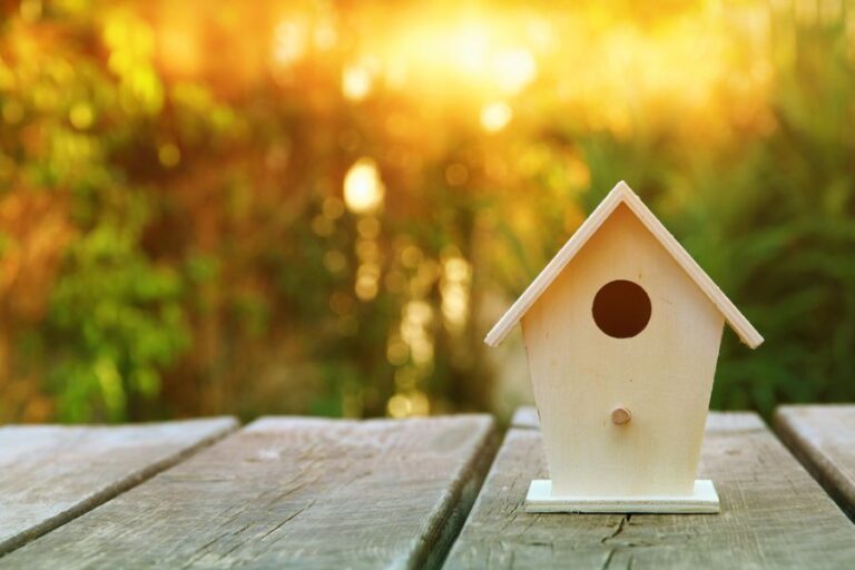 New Wooden Birdhouse on a Wooden Table