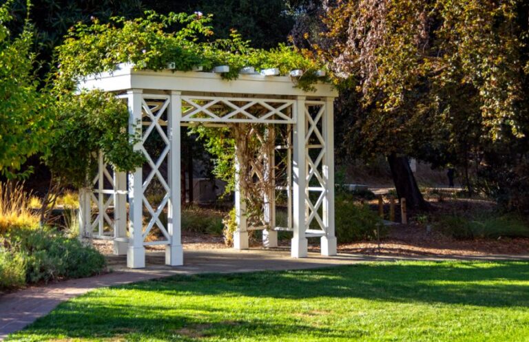 Vines Growing on Top of a White Pergola in a Garden