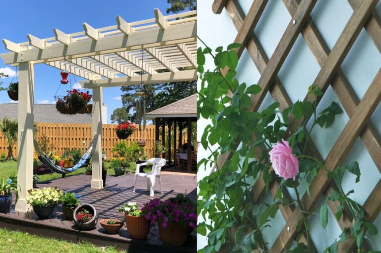 Pergola vs Trellis