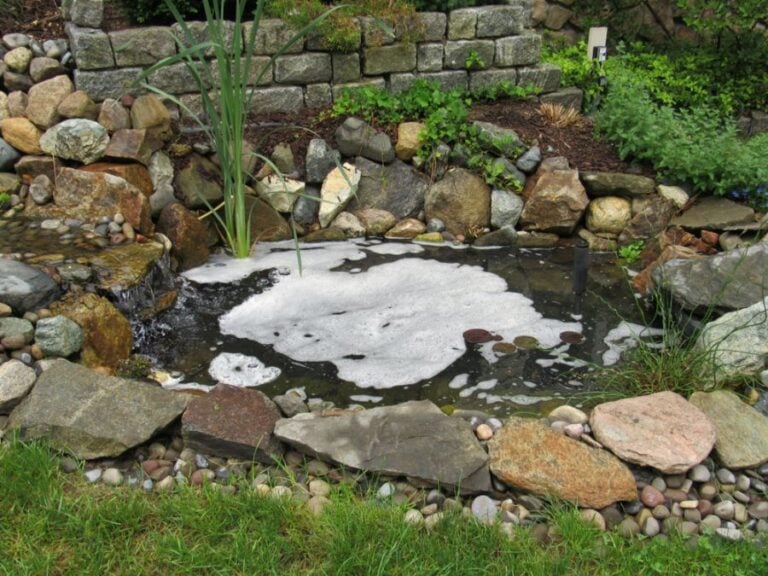 Backyard Pond With Foamy Water