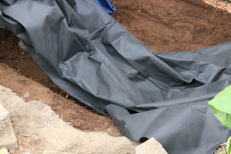 Black Pond Liner Being Laid in a Hole Dug for a Pond