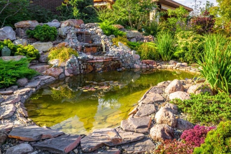 Elaborate Backyard Pond With Green Water